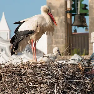  Hostal Stork Portugal